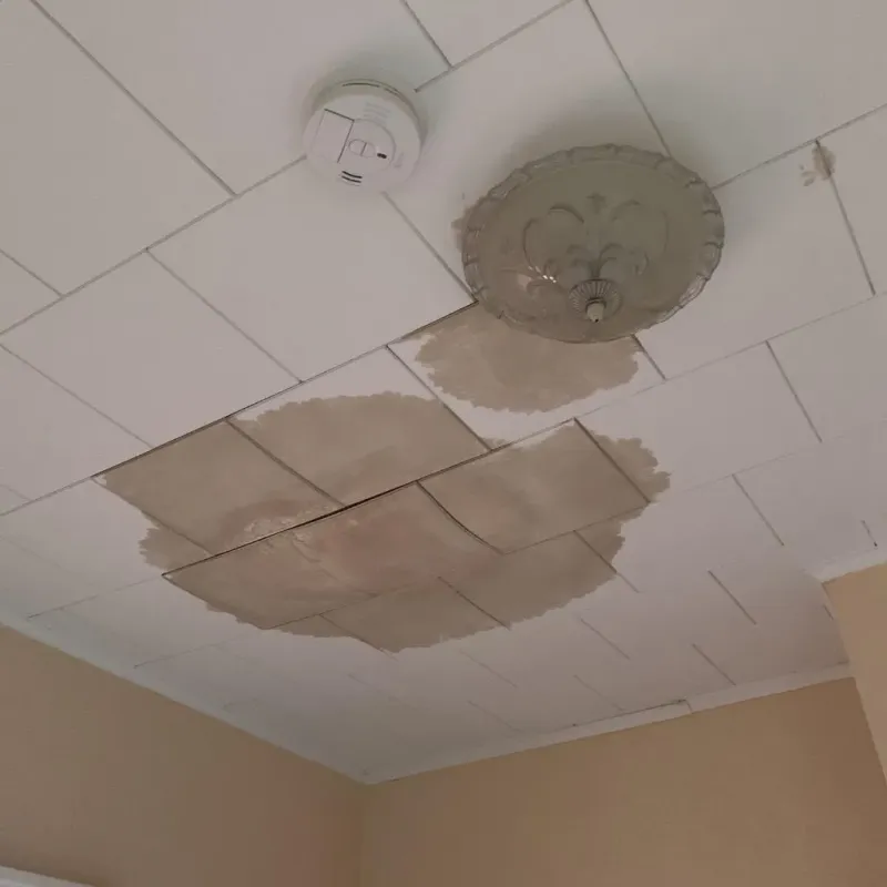 Ceiling Water Damage Repair in Townshend, VT