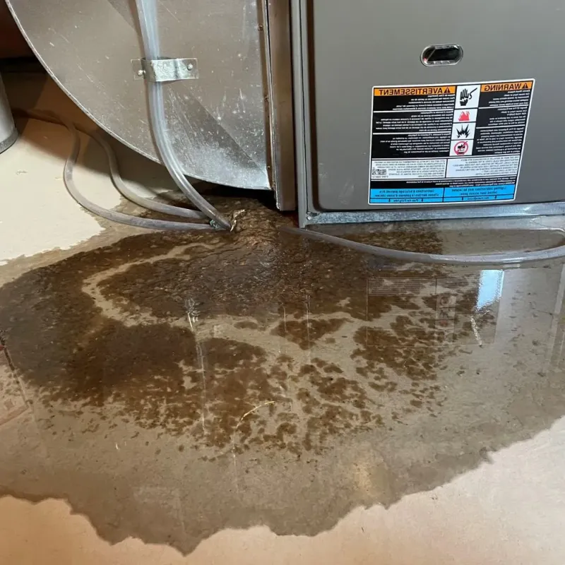 Pipe Burst and Leak Restoration in Townshend, VT