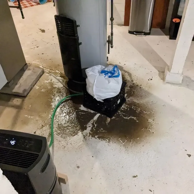 Sewage Backup Cleanup Service in Townshend, VT